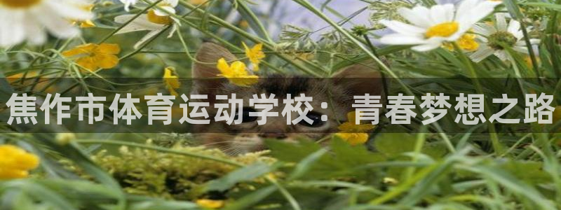 尊龙官方正版app官方