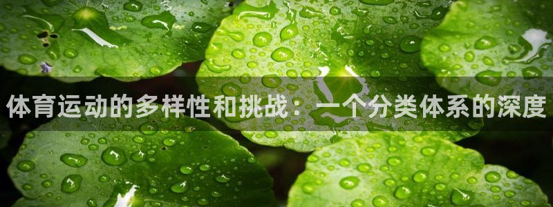 尊龙官网下载招商电话