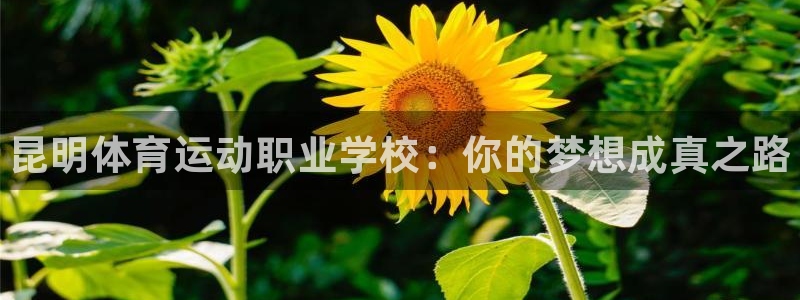 尊龙官网下载招商电话号码是多少：昆明体育运动职业学校：你的梦