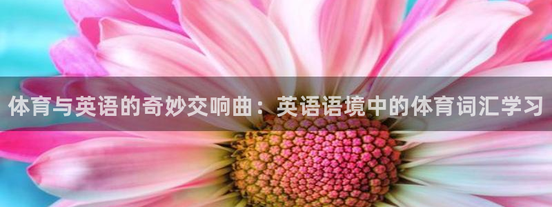 尊龙官网下载平台注册流程视频：体育与英语的奇妙交响曲：英语语