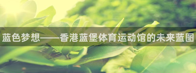 尊龙官方正版app代理：蓝色梦想——香港蓝堡体育运动馆的未来
