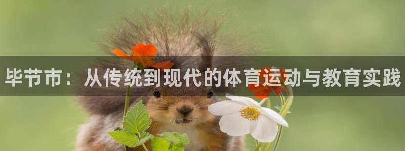 尊龙官网下载招商电话地址查询：毕节市：从传统到现代的