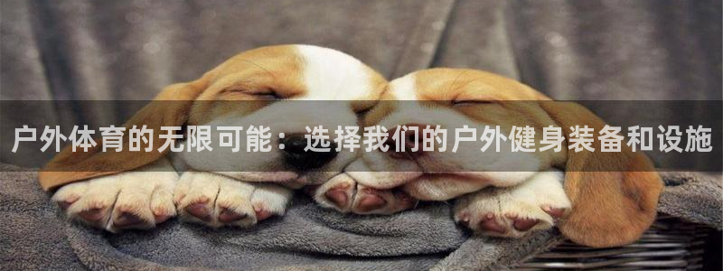 尊龙官网下载招商电话号码查询：户外体育的无限可能：选