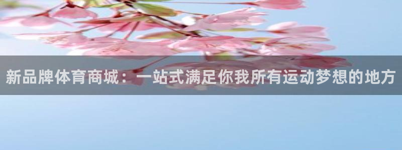 尊龙官方正版app神州：新品牌体育商城：一站式满足你