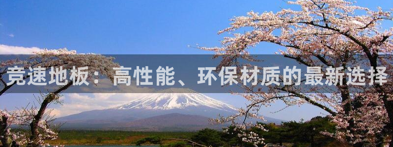 尊龙官网下载招商电话号码是多少号：竞速地板：高性能、