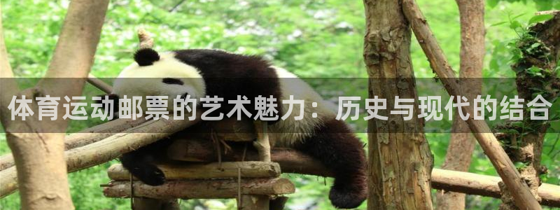 尊龙官网下载官方客服电话：体育运动邮票的艺术魅力：历史与现代