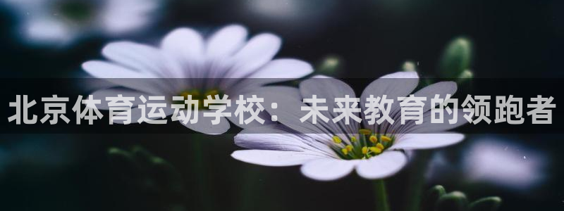 尊龙官方正版app娱乐：北京体育运动学校：未来教育的