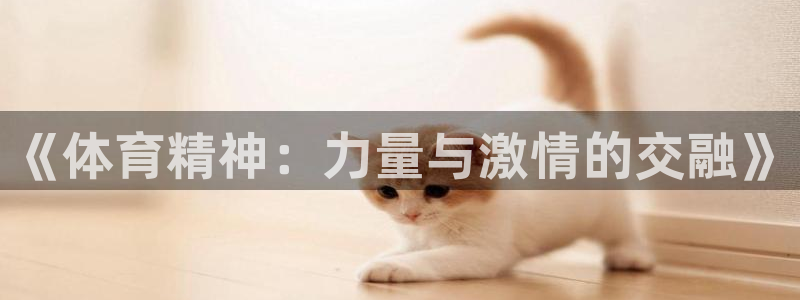 尊龙棋牌旗舰店