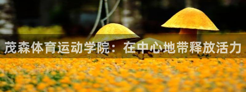 z6尊龙ag旗舰厅：茂森体育运动学院
