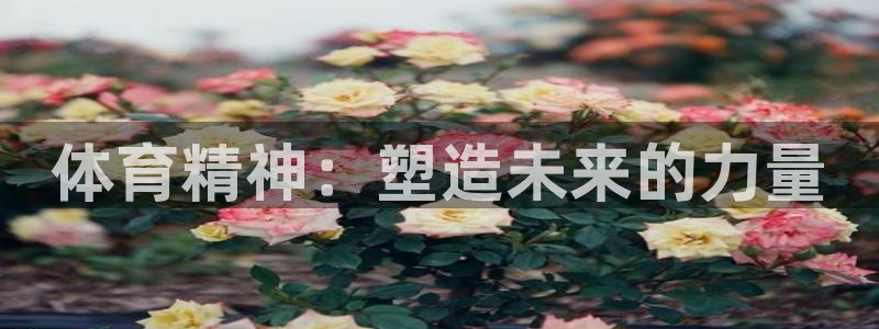 尊龙凯时请求参数不符合：体育精神：塑