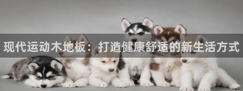 尊龙凯时集团总部地址：现代运动木地板：打造健康舒适的新生活方