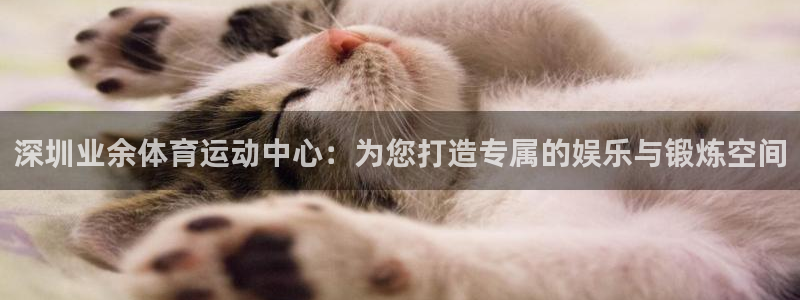  尊龙凯时app：深圳业余体育运动中心：为您打造专属的娱乐与锻
