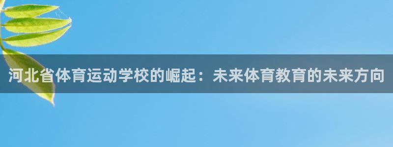 尊龙凯时充值USDT手续费多少：河北