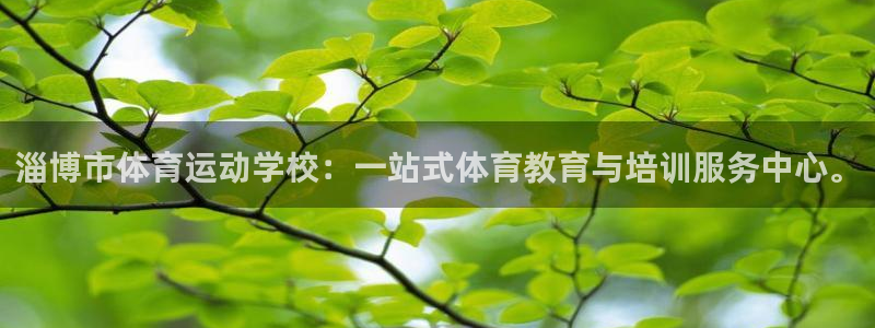 尊龙人生就是博一下d88：淄博市体育运动学校：一站式体育教育