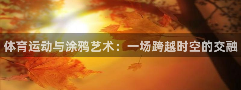  尊龙官方旗舰店官网：体育运动与涂鸦艺术：一场跨越时空的交融