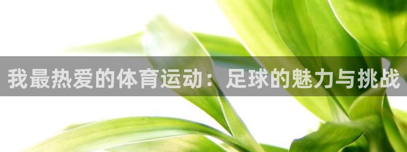 尊龙app登录不了：我最热爱的体育运动：足球的魅力与挑战