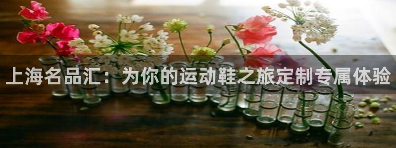  尊龙人生就是博登录网址下载：上海名品汇：为你的运动鞋之旅定制