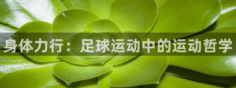  尊龙注册苹果版下载：身体力行：足球运动中的运动哲学